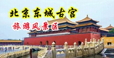 护士被舔得淫水直流中国北京-东城古宫旅游风景区